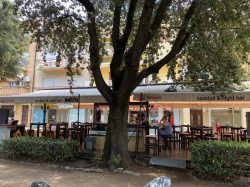Apartmany Villa Vesna - Family apartments Crikvenica
